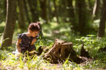 Still Have a Tree Stump…